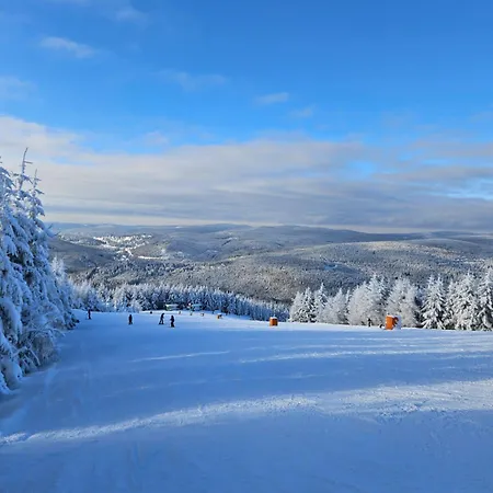 Labaika * Гаррахов