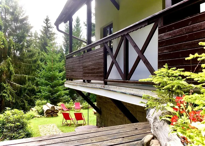 Labaika * Harrachov