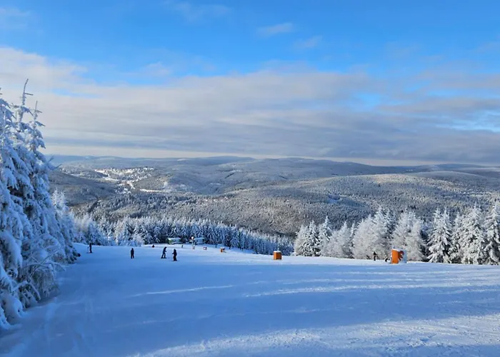 Labaika * Harrachov